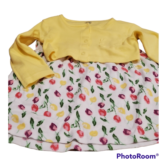 2 Piece Dress & Cardigan size 3T by Luvable Friends - Picture 4 of 12